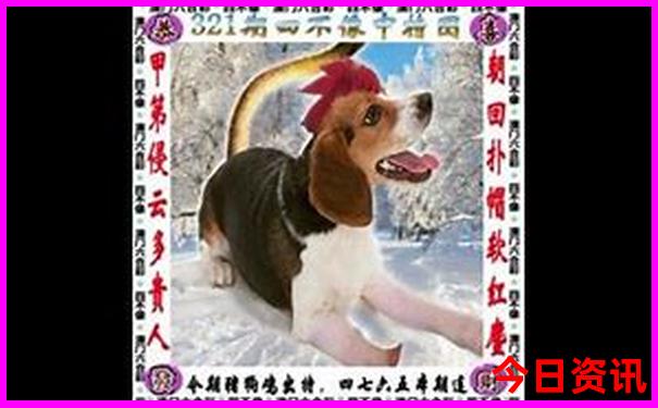 夏天江浙沪适合度假的地方